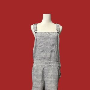 Splendid Railroad Strip Style Shortalls
